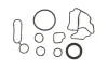 Комплект прокладок Caddy/T5/Crafter 20 TDI 10- (нижній)) 54176000