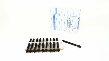 Комплект болтів головки цилідра (10шт)) AJUSA 81016100