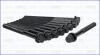 Компл болтів ГБЦ HYUNDAI SANTA FE III, IV 20, 22d (10шт) AJUSA 81052900 (фото 2)
