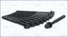 Компл болтов ГБЦ HYUNDAI SANTA FE III, IV 20, 22d (10шт) AJUSA 81052900 (фото 2)