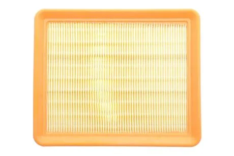 Фільтр повітряний Citroen Berlingo 1,9cdi 98-11 / Peugeot Partner 1,9cdi 98-11 ALPHA FILTER AF1631