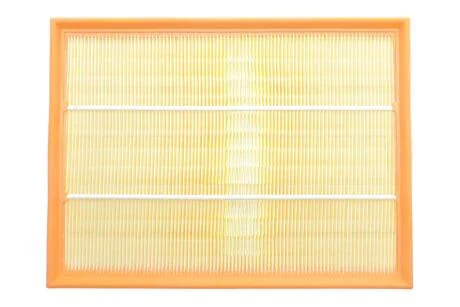 ЕФ повітряний (LAND ROVER Range Rover III, Discovery 3-4) ALPHA FILTER AF1889
