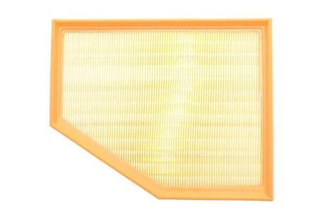 ЕФ повітряний (BMW 5, 6 Gran Turismo, 7, X3, X4, X5) ALPHA FILTER AF1994