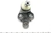 Кульова опора Toyota Camry 01-11/Lexus RX 03-08. ASMETAL 10TY1011 (фото 2)