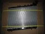 Радіатор охолодження NISSAN ALMERA (N15) (95-) 1.6 i 16V (AVA) AVA COOLING DN2174 (фото 1)