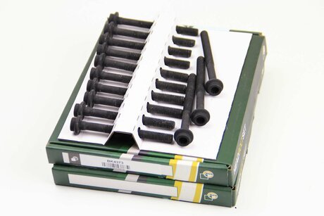 Болты головки блока MB W124/140/S210 OM606 93-98 (комплект) BGA BK4373 (фото 1)