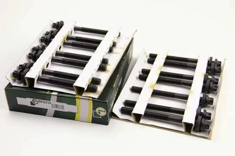 Болти головки блоку BMW 3-7 (E34/E39/E46E60/E61) X3/X5/Omega B 2.5TDI 99- (комплект) BGA BK5316