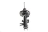 Амортизатор MAZDA CX-5 &quot;FR &quot;16&gt;&gt; &quot;(Gas) 22-291721 BILSTEIN 22291721 (фото 4)