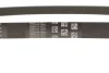Пас поликлиновый 6РКХ1003 BMW 11287618848 (фото 3)