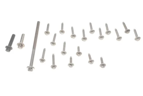 Болты BMW 11412165397