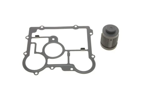 Фільтр масляний BorgWarner DS2006273