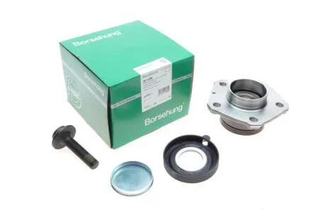 Маточина з підшипником задня з аксесуарами Borsehung B11288