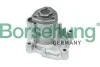 Насос системи охолодження (OE) Borsehung B12696 (фото 1)
