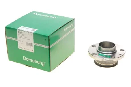 Підшипник маточини задня (OE) Borsehung B15624