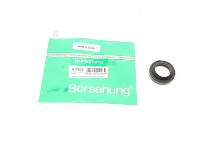 Уплотняющее кольцо КПП (CORTECO) Borsehung B17833 (фото 1)
