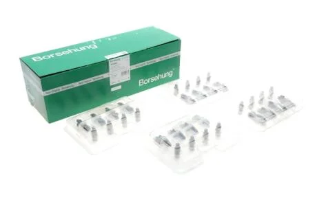 Гідрокомпенсатори 16*16 030109423+036109411E Borsehung B18205