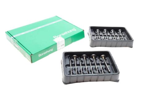Клапана комплект 8*8 (04L109601H+04L109611 Borsehung B18633
