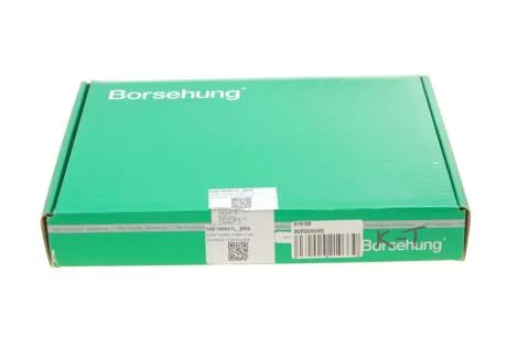 Клапана комплект 6*6 (04E109601+04E109611L) (OE) Borsehung B19160