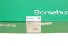 Натяжная планка цепи ГРМ Borsehung B1G035 (фото 6)