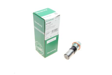 Натяжитель цепи с болтом (OE) Borsehung B1T023