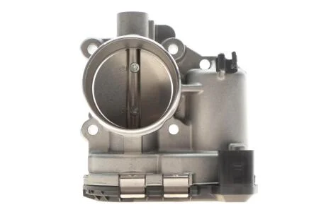 Дросельна заслінка BOSCH 028075008B