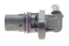 Датчик положення розподільного валу BOSCH 0986280610 (фото 4)