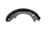 Тормозные колодки барабанные. BOSCH 0986487793 (фото 3)