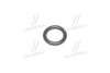 Уплотнительное кольцо BOSCH 1280210810 (фото 2)