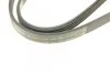 РЕМЕНЬ П-КЛИНОВЫЙ 4PK1080 BOSCH 1987946274 (фото 4)