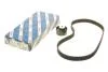Ремкомплект ГРМ Z=124 FIAT/OPEL Doblo/500/Punto/Combo &#039;&#039;1.4 BOSCH 1987946715 (фото 1)