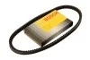 Ремінь клиновий AVX 10х825 BOSCH 1 987 947 605 (фото 1)