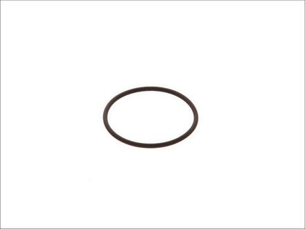 Уплотнительное кольцо BOSCH F00HN35933 (фото 1)
