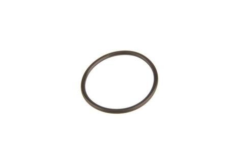 Уплотнительное кольцо ТНВД BOSCH F00R0P0166 (фото 1)