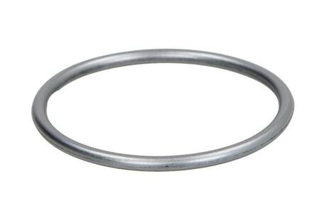 Уплотнительное кольцо ТНВД BOSCH F01M100114 (фото 1)