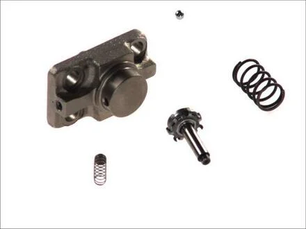 Головка циліндра CP1H BOSCH F01M100869