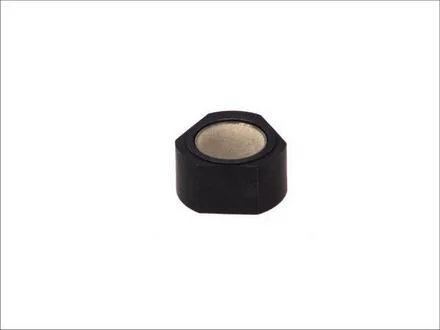 Елемент насосу Common Rail BOSCH F01M101211 (фото 1)