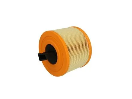 Повітряний фільтр BOSCH F026400029