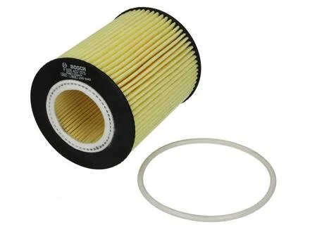 Масляный фильтр BOSCH F026407075
