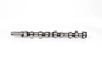 Фото 1 - распредвал Connect/Mondeo 1.8 Di/TDCi/TD 93- BSG BSG 30-108-005 Распредвал Connect/Mondeo 1.8 Di/TDCi/TD 93- BSG BSG 30-108-005 (фото 1)