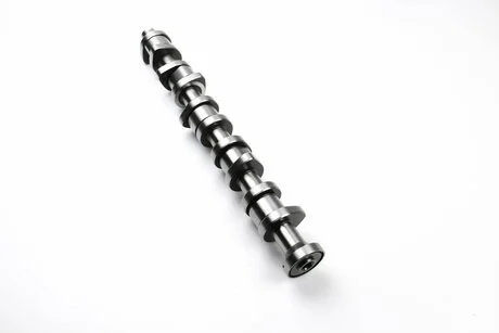 Фото 1 - розподільний вал T5 2.5TDI (AXD/AXE/BLK) 03- BSG BSG 90-108-006 Розподільний вал T5 2.5TDI (AXD/AXE/BLK) 03- BSG BSG 90-108-006 (фото 1)