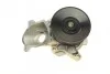 Помпа води BMW 3 (E46/E90)/5 (E60) 2.0-3.0d 01-13 (M47/M57) Bugatti PA10135 (фото 6)