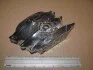 Гальмівні колодки передні Renault Captur, Clio, Duster, Fluence, Megane, Scenic, Zoe / Nissan / Daci CHAMPION 573268CH (фото 1)