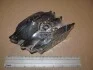 Гальмівні колодки передні Renault Captur, Clio, Duster, Fluence, Megane, Scenic, Zoe / Nissan / Daci CHAMPION 573268CH (фото 2)