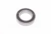 Подшипник генератора (Complex) COMPLEX AUTOMOTIVE BEARINGS Sp.z.o.o. 6009-2RS (фото 2)