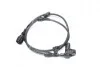 Датчик ABS AUDI A4 00- front L/R (COMPLEX) COMPLEX AUTOMOTIVE BEARINGS Sp.z.o.o. ABS38 (фото 3)