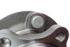 Подшипник ступицы COMPLEX AUTOMOTIVE BEARINGS Sp.z.o.o. CX1037 (фото 2)
