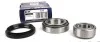 Подшипник ступицы MERCEDES, VW передн. мост (COMPLEX) COMPLEX AUTOMOTIVE BEARINGS Sp.z.o.o. CX328 (фото 1)