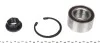 Підшипник маточини CX COMPLEX AUTOMOTIVE BEARINGS Sp.z.o.o. CX 437 (фото 2)