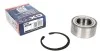 Подшипник ступицы PEUGEOT EXPERT передн. мост (COMPLEX) COMPLEX AUTOMOTIVE BEARINGS Sp.z.o.o. CX566 (фото 1)