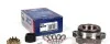 Подшипник ступицы CX COMPLEX AUTOMOTIVE BEARINGS Sp.z.o.o. CX 579 (фото 1)